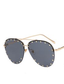 Fashion Gold Frame All Grey Pc Rivet Sunglasses